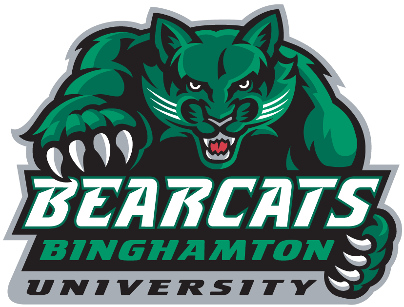Binghamton Bearcats 2001-Pres Primary Logo DIY iron on transfer (heat transfer)
